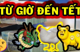 Từ mai 5/5 âm tới Tết 2025: 3 tuổi hứng trọn vận may, tài lộc tăng đột biến