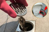 Tóc rụng mắc đầy miệng cống, đổ 1 thứ vào tóc tự trôi đi sạch, không tốn tiền gọi thợ