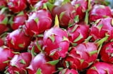 Shbet800 tải ứng dụng hãy đặt 6 loại quả này lên bàn thờ, Tổ tiên ưng bụng ban tiền tài về đầy túi