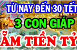 Sau đêm nay, từ ngày mai: 3 tuổi Thần Tài mở kho phát lương tiền vào như nước, giàu số 2 không ai nhất