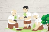 Người xưa dạy kỹ: Cây ở mộ trồng trước nhà họa 3 đời, nghĩa là sao? Đó là cây gì?