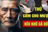Thân thiết cũng đừng cho mượn 5 thứ kẻo tự tay 'xua đuổi' thần Tài, tiền của đi hết