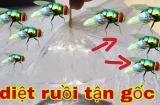 Cách đuổi ruồi hiệu quả nhất, không còn 1 con nào vo ve