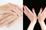 Giải mã bàn tay búp măng: Vận mệnh, tính cách và sự nghiệp