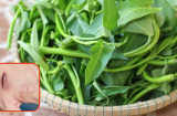 Ăn rau muống có khiến vết thương biến thành sẹo lồi không?