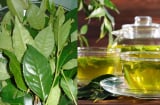 Bí kíp để nước trà tươi luôn xanh, để lâu không bị đỏ nước, không chát, tốt cho sức khỏe
