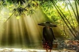 Người có ''bát phẩm'' thì sớm xuất Sh88bet link truy cập World Cup, ngồi yên phúc đức gia tăng gấp bội