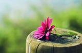 Người ''nghèo trước sướng sau'' sẽ có 3 đặc điểm này, tương lại vô cùng tốt