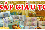 Top 3 Shbet888.com nhà cái uy tín giàu nhất tháng 8 Âm lịch: Đặc biệt vị trí thứ 3
