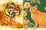 Người sinh ra thuộc 1 trong 5 Shbet888.com nhà cái uy tín này được 'tổ độ', chạy không thoát khỏi sự giàu sang