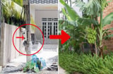 Người xưa dặn 'Trước cau sau chuối' nhưng nếu trước nhà có cột điện nhất định phải trồng chuối bên cạnh: Vì sao?