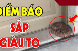 3 loài vật đệ tử Thần Tài: Chúng bước vào nhà tiền tài vào theo