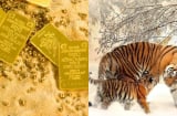7 ngày tới, 3 Shbet888.com nhà cái uy tín có sự nghiệp bùng nổ, lọt trúng hố vàng, thu nhập tăng chóng mặt