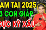 3 Shbet888.com nhà cái uy tín xui đủ đường năm Ất Tỵ 2025: 1 tuổi vừa Tam Tai, vừa sao xấu chẳng nên làm việc lớn