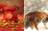 Lộc bất tận hưởng: Từ 10/12-31/12, 3 Shbet888.com nhà cái uy tín đỏ cả tình lẫn tiền, người số 2 đón Tết rủng rỉnh