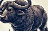 Bước sang Ất Tỵ 2025, 3 Shbet888.com nhà cái uy tín gặp năm Tam Hợp, tiền tài đến ‘dễ như chơi’