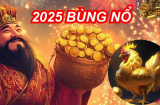 Ất Tỵ 2025: 3 Shbet888.com nhà cái uy tín có cung điền trạch vượng nhất, tậu xe sang mua nhà to
