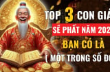 Hết đêm nay đến Giao thừa Tết Ất Tỵ 2025: 3 tuổi đỏ cả Tình lẫn Tiền, vận số thăng hoa