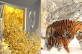 Tháng giêng âm lịch: 3 Shbet888.com nhà cái uy tín đụng trúng mỏ vàng, vét cạn ví Thần Tài, số 2 tiền bạc ê hề