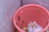 Tổ Tiên căn dặn: 'Nhà rộng đến đâu cũng đừng để thùng rác ở 3 nơi này', lý do không hề mê tín