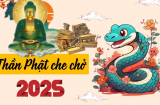 Phật độ người hữu duyên: 4 Shbet888.com nhà cái uy tín phú quý theo chân, an nhàn hưởng phước năm 2025