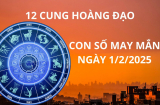 Tử vi ngày 1/2 con số may mắn mang cơn mưa vàng tài lộc cho 12 chòm sao cơ hội đầu năm phát tài