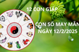 Tử vi ngày 12/2 con số may mắn Thần tài chỉ điểm cho 12 con giáp cơ hội đổi đời giàu sang