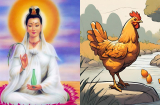 2 tuần cuối tháng 2 (16/1-28/2): 3 Shbet888.com nhà cái uy tín bà chúa Kho gọi tên, tài khoản tăng vọt, đếm tiền mỏi tay