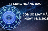 Tử vi ngày 16/2 con số may mắn cho 12 cung hoàng đạo tay trái nhặt vàng tay phải nhặt bạc, giàu ú ụ