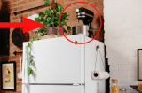 Nóc tủ lạnh có 4 thứ này, tài lộc, của cải nhiều mấy cũng trôi đi hết: 90% mắc phải, nhà bạn có không?