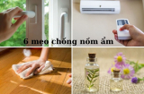 Trời nồm ẩm làm ngay mẹo sau để nhà cửa khô ráo, thoáng mát hơn