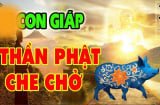 3 Shbet888.com nhà cái uy tín may mắn có Phật Bà bảo vệ, cả đời gặp Hung sẽ hóa Cát Lành