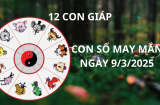 Tử vi ngày 9/3 con số may mắn số vàng mang tài lộc cho 12 con giáp, tiền đè giàu sụ