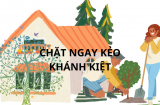 Người xưa nói trồng cây ác trước nhà, cây càng xanh người càng khó, bảo sao không giàu, kiểm tra ngay nhà bạn