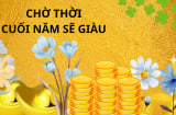 Đại vận như nước lên, 3 cung hoàng đạo cuối năm càng giàu, trả sạch nợ, ung dung tận hưởng tình tiền tề tựu
