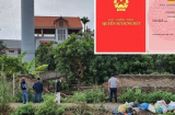Mua bán đất không có sở đỏ bị phạt tới 100 triệu đồng: Rất nhiều người không biết vẫn làm