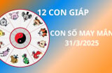 Con số may mắn ngày 31/3 cho 12 con giáp cơ hội đổi đời giàu sang, làm ăn thuận lợi trúng lớn