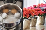 Đừng đổ nước luộc trứng đi:  Chúng có công dụng cực hữu ích ít người biết
