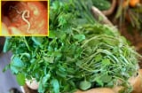 3 loại rau người Việt thích mê dễ là 'ổ sán', mang bệnh vào người