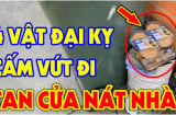 Âm Thịnh Dương Suy: Trong nhà 4 đồ vật này càng to thì con người càng suy. Đó là gì?