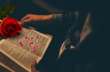 3 chuyện người khôn ngoan không can thiệp, người dại lại thích ôm vào. Buông xuống cho đời an yên
