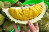 Những người không nên ăn sầu riêng
