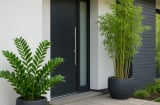 7 loại cây phong thủy âm khí nặng: Càng trồng càng hao tài tốn của