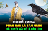 Khi con cư xử hỗn hào, thiếu lễ phép, đừng nổi giận:  Cha mẹ hãy áp dụng ngay “Định luật Con Quạ”