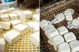 Phân biệt đậu phụ sạch và đậu phụ thạch cao: Nhất định phải nhìn vào 4 điểm này