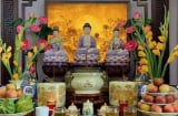 5 Loại Hoa Shbet800 tải ứng dụng cứ đặt lên bàn thờ thì tiền về như nước: Tổ tiên ưng bụng phù hộ con cháu