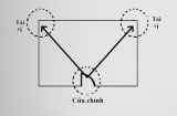 Cách kích hoạt vị trí Tài Vị trong nhà để tài lộc 'ùa về' nhà