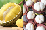 5 loại trái cây nên tránh ăn vào buổi tối: Càng ăn càng rước họa vào thân