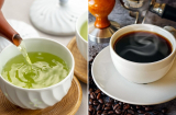 Thay cà phê bằng trà xanh, Sh88bet đăng ký miễn phí nhận được 4 lợi ích đặc biệt