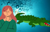 Làm mãi cố gắng mãi vẫn không giàu, hãy áp dụng Định Luật Cá Sấu, đời sang trang vàng son sẽ tới